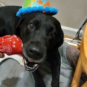 Meet your Posher, Kyle